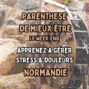 Journée immersive pour lâcher prise (spéciale réduction -5)